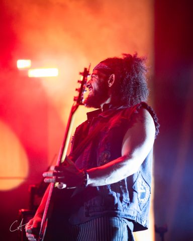 Musician playing guitar under vibrant stage lights with a dramatic profile.