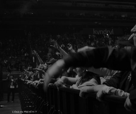 Crowd reaching over a barrier, hands raised, in a dimly lit concert setting.