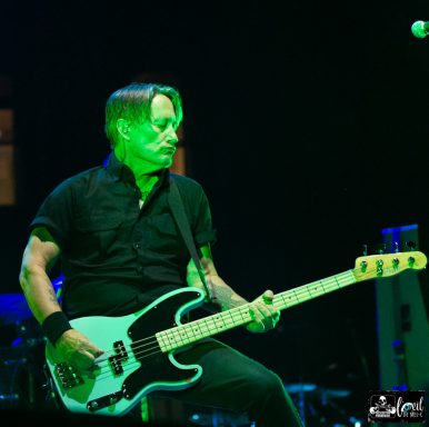 A musician playing a bass guitar under green stage lighting.
