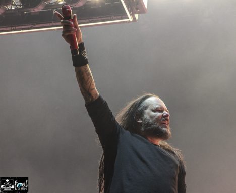 A musician with long hair raises a microphone in one hand, performing on stage.