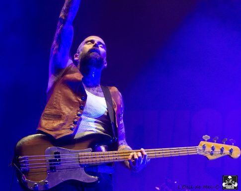 Musician performing on stage with a bass guitar, illuminated by purple lights.