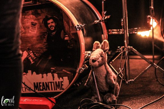 A stuffed animal sits next to a drum with a graphic featuring a musician.