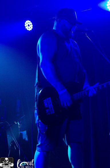A musician performing on stage, silhouetted against blue lighting.
