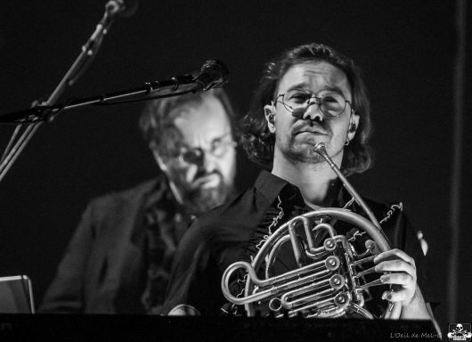 A musician plays the French horn while another man is seen in the background.